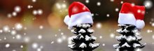 20241219_kerstsluiting_projectbureau2